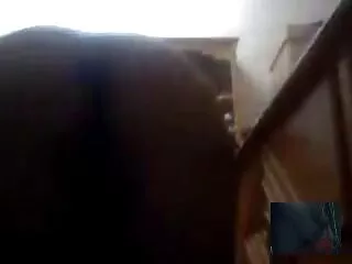# big_boobs हिन्दी सेक्सी bf बिल्ली औंलाहरु रोगी #